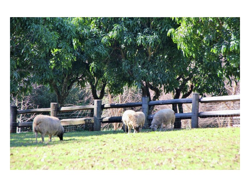 159 Commissioners Flat Road, Peachester QLD 4519