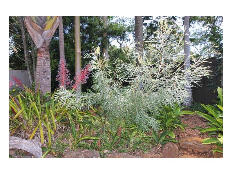 2 Honeyeater Lane, Maleny QLD 4552