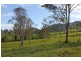 Conondale QLD 4552