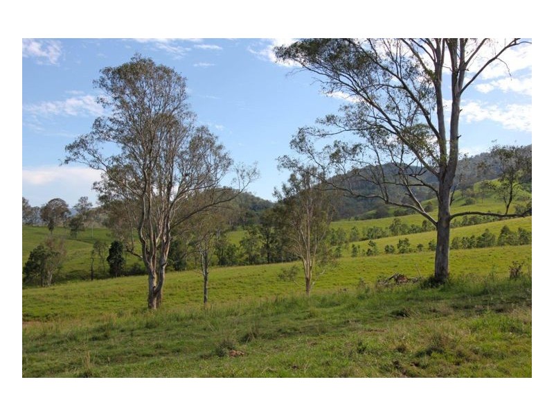 Conondale QLD 4552
