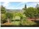 Conondale QLD 4552