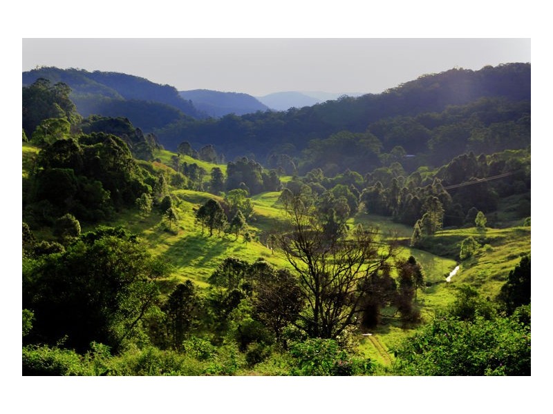 530-534 Flaxton Drive, Montville QLD 4560