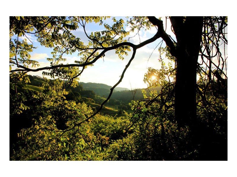 530-534 Flaxton Drive, Montville QLD 4560