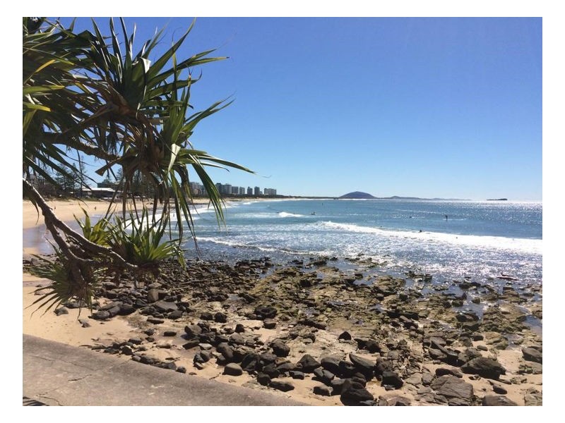 Alexandra Headland QLD 4572