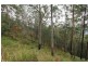 Lot 179 Kilcoy Lane, Conondale QLD 4552