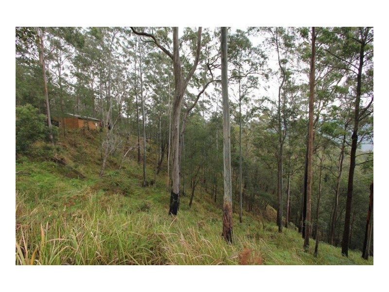 Lot 179 Kilcoy Lane, Conondale QLD 4552