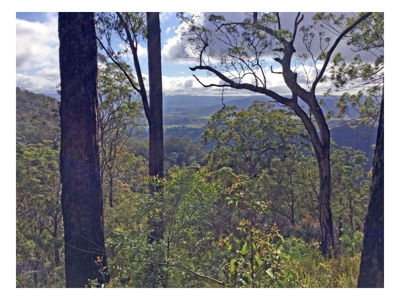 Lot 179 Kilcoy Lane, Conondale QLD 4552