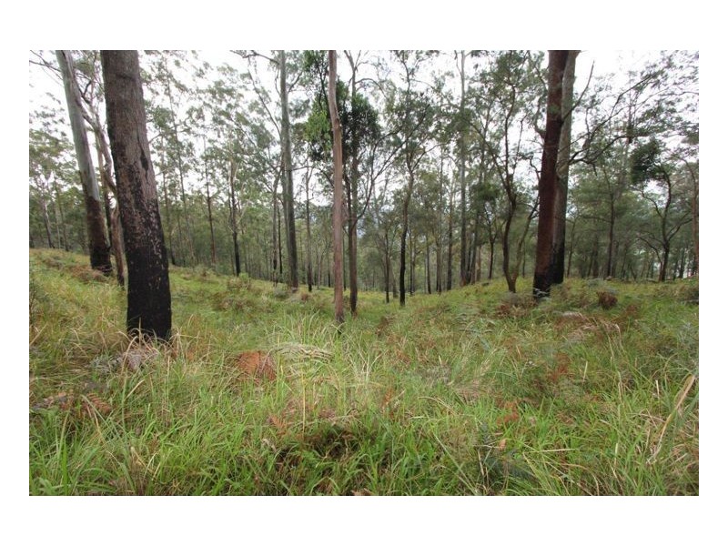 Lot 179 Kilcoy Lane, Conondale QLD 4552