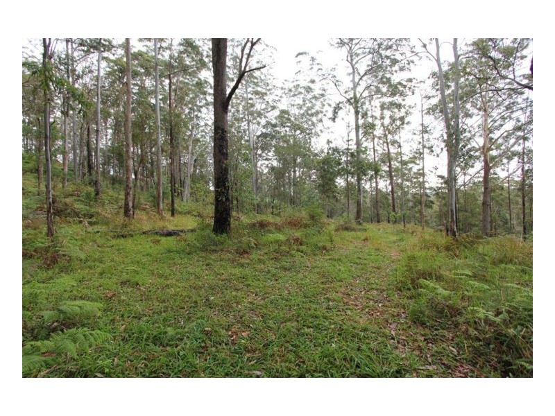 Lot 179 Kilcoy Lane, Conondale QLD 4552