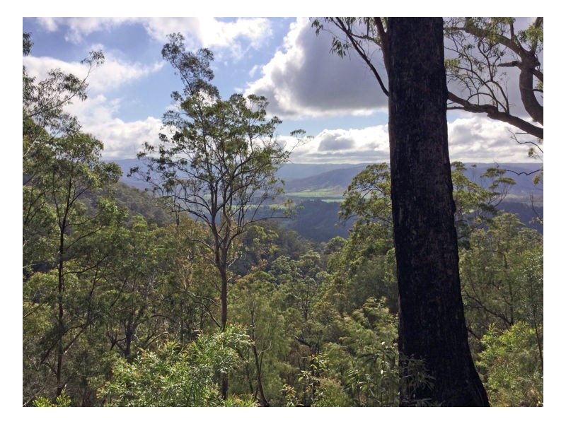 Lot 179 Kilcoy Lane, Conondale QLD 4552