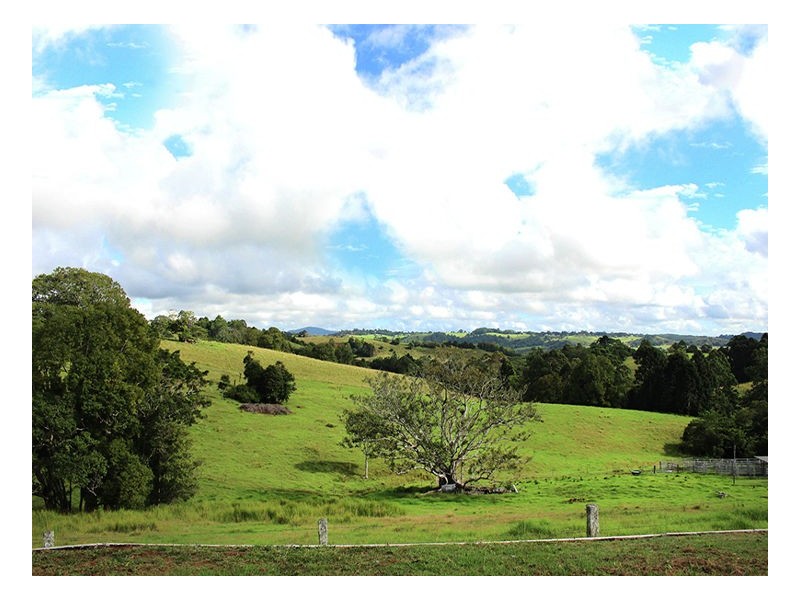 Maleny QLD 4552