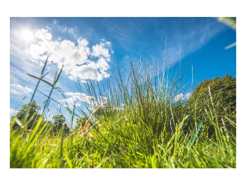 34 Tramline Rise ‘The Grove, Nambour Heights’, Burnside QLD 4560