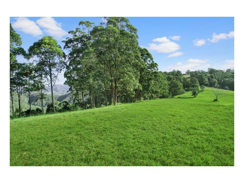 Delicia Road, Obi Obi QLD 4574