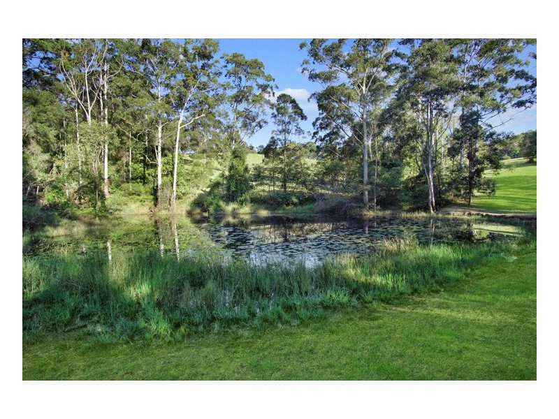 Delicia Road, Obi Obi QLD 4574