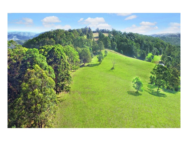 Delicia Road, Obi Obi QLD 4574