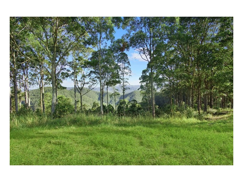 Delicia Road, Obi Obi QLD 4574