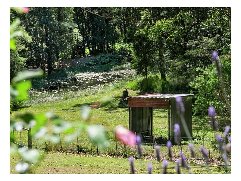 124 Delicia Road, Mapleton QLD 4560