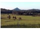 Yandina Creek QLD 4561