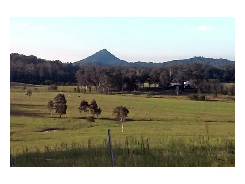 Yandina Creek QLD 4561