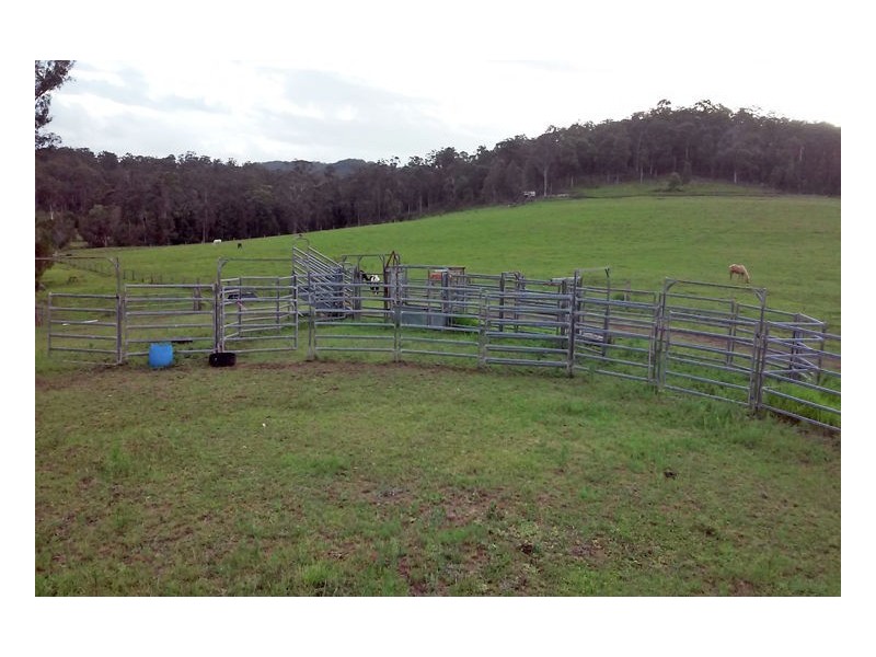 Yandina Creek QLD 4561