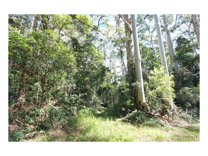 Bellthorpe QLD 4514