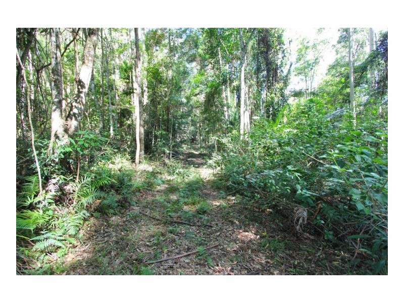 Bellthorpe QLD 4514