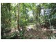 Bellthorpe QLD 4514