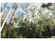 Bellthorpe QLD 4514