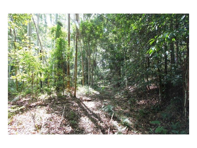 Bellthorpe QLD 4514