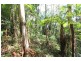Bellthorpe QLD 4514