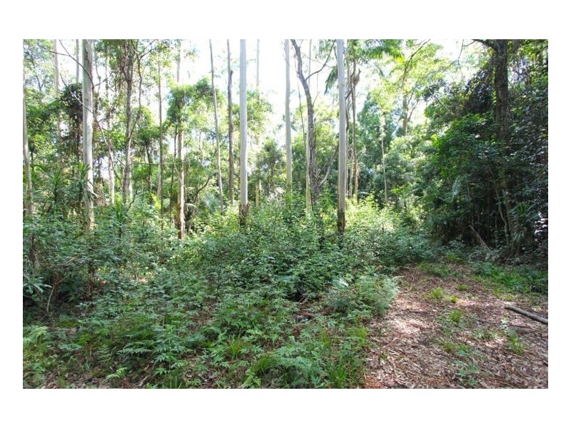 Bellthorpe QLD 4514