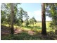 Bellthorpe QLD 4514