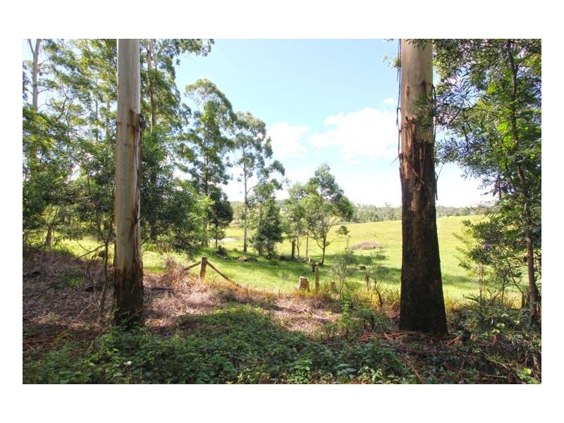 Bellthorpe QLD 4514