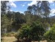 Conondale QLD 4552