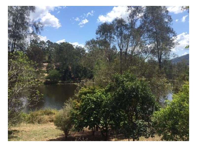 Conondale QLD 4552