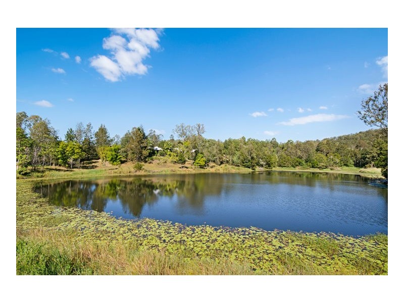 Conondale QLD 4552