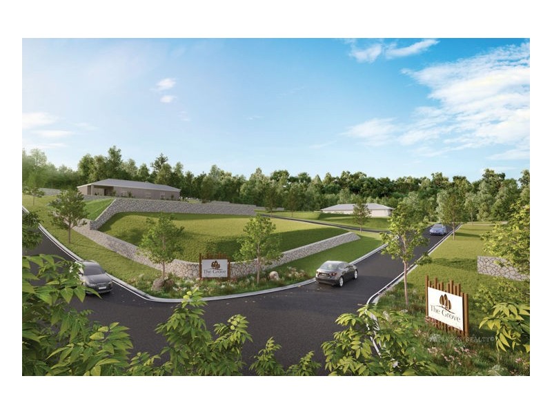 Mooloolah Valley QLD 4553