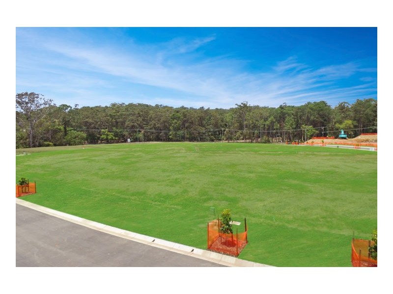 Mooloolah Valley QLD 4553