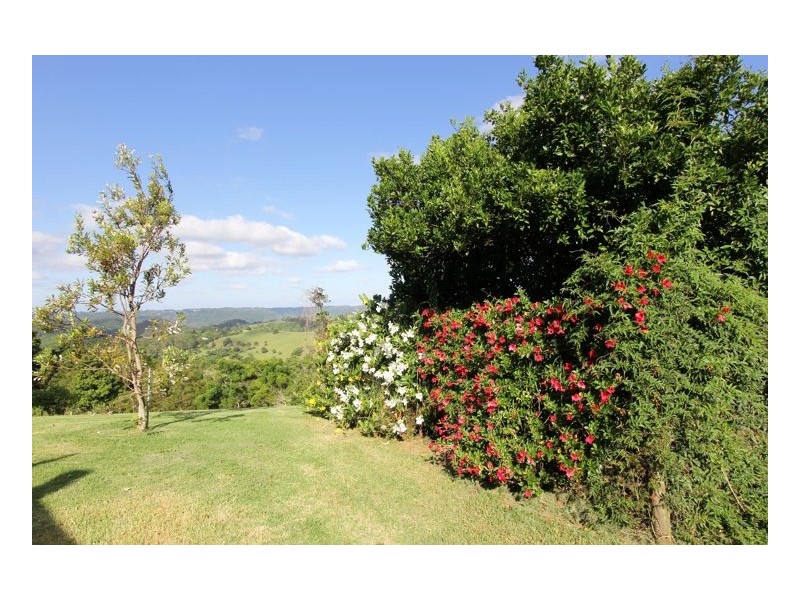 206 Witta Road, Witta QLD 4552