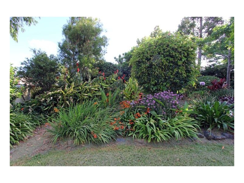 206 Witta Road, Witta QLD 4552