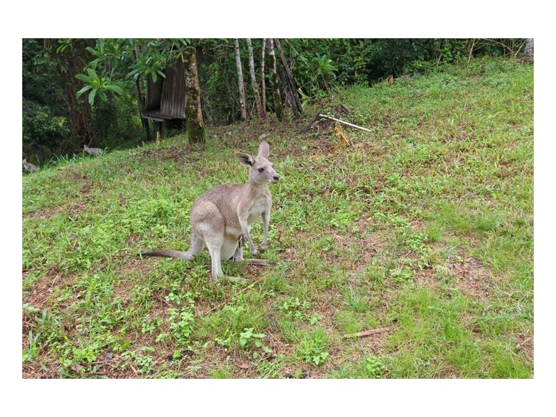 Lot 37/65 Kilcoy Lane ‘Crystal Waters’, Conondale QLD 4552
