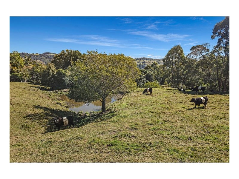 119 Bridge Creek Road, Maleny QLD 4552