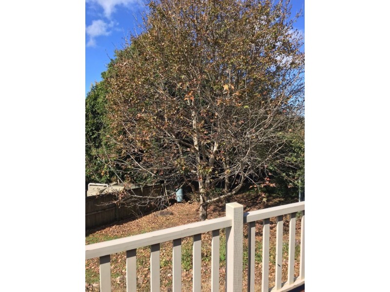 9 Sunnyside Court, Maleny QLD 4552