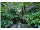 226 Obi Obi Road, Mapleton QLD 4560