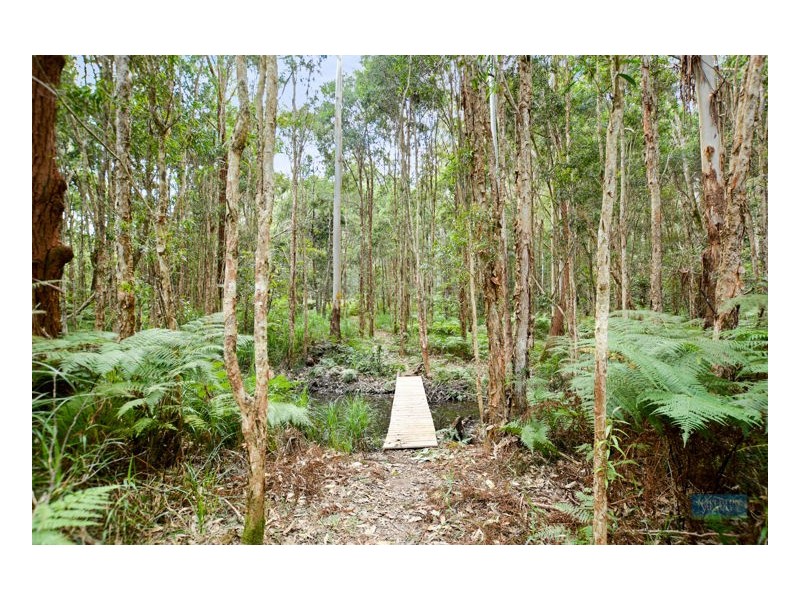 124 Delicia Road, Mapleton QLD 4560