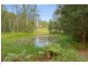 124 Delicia Road, Mapleton QLD 4560