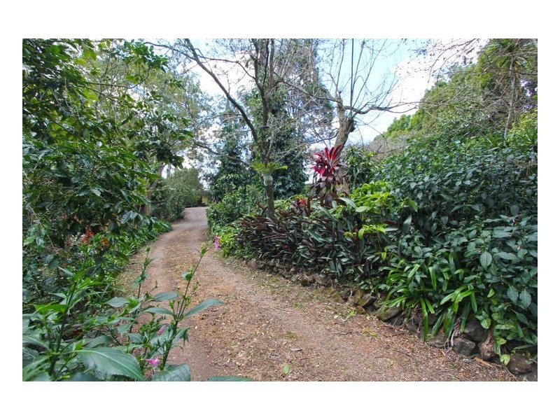 Maleny QLD 4552