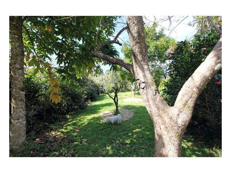 Maleny QLD 4552