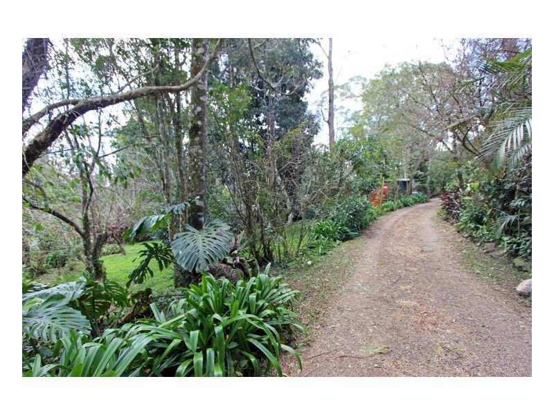 Maleny QLD 4552