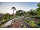 26 Kondalilla Falls Road, Montville QLD 4560
